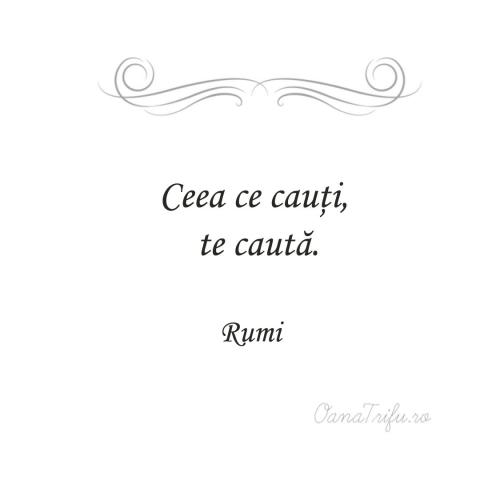 Citate Rumi